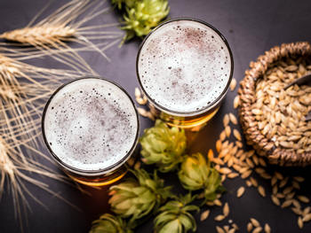 Graduação em Cervejaria em Teresópolis - Foto: Unifeso