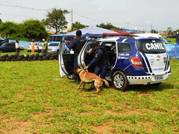 Cães da Guarda Civil Municipal (GCM) de Teresópolis - Foto: AsCom PMT