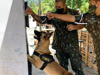 Representantes do 1º Batalhão de Polícia do Exército - Foto: AsCom PMT