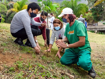 Plantio das primeiras árvores do projeto de arborização de Teresópolis - Foto: AsCom PMT