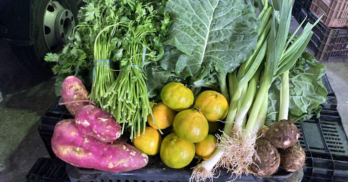 Alimentos provenientes da agricultura familiar de Teresópolis - Foto: AsCom PMT