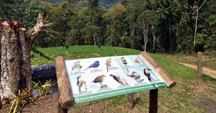 Programa Municipal de Observação de Aves de Teresópolis - Foto: Luca Bezerra