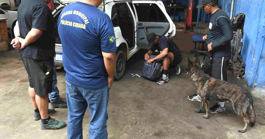 2º Curso de Condutores de Cães de Trabalho em Teresópolis - Foto: AsCom PMT