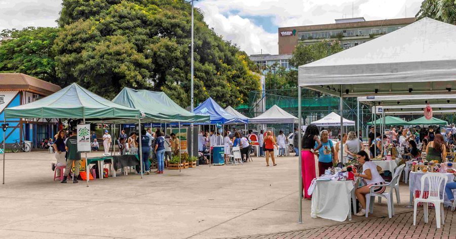 Ações gratuitas em diversas áreas na Feira - Foto: AsCom PMT