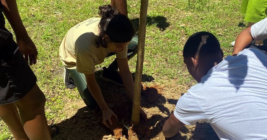 Ação no Parque Montanhas de Teresópolis - Foto: AsCom PMT