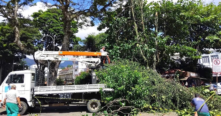 Poda de galhos de árvore na Praça Baltasar da Silveira, na Várzea - Foto: AsCom PMT