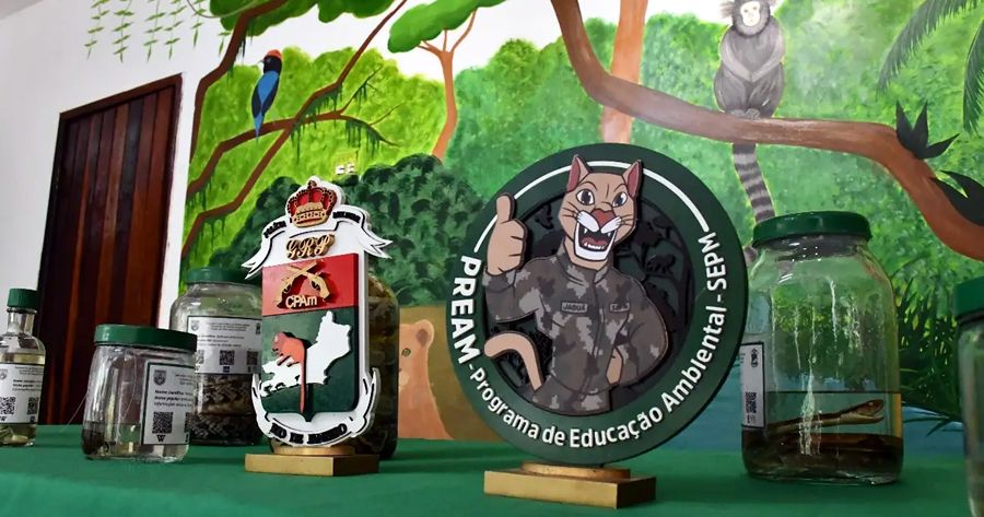 Programa de Educação Ambiental (PREAM) em Teresópolis - Foto de arquivo: divulgação