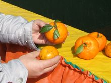 Acima, uma ponkan, abaixo, uma tangerina comum - Clique para ampliar - Foto: Portal Ter