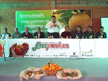 Clique na foto para ampliar - Foto: Portal Terê